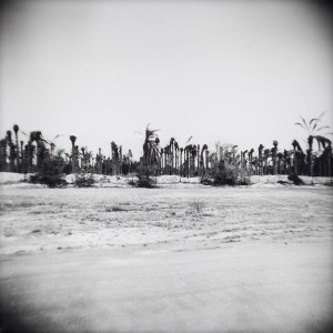 Photograph by Ziad Antar