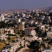 Photograph by Sama Al Shaibia